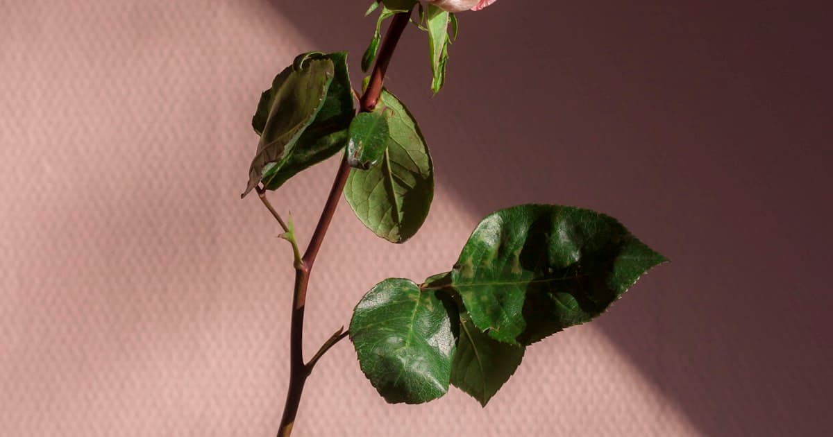 How to Win at Online Slots Philippines 2026: The Complete Strategy Guide for Filipino Players