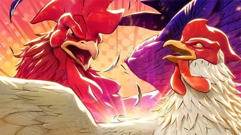 PG Soft Rooster Rumble Slot Review Philippines 2026: When the Sabungero Goes Digital