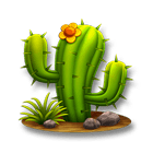 cactus