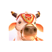 ganesha-fortune_1x_sacred_cow_symbol