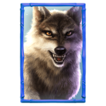 bufallo-win_h_wolf_c