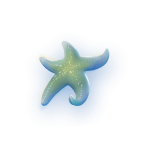 mermaid-riches_h_starfish